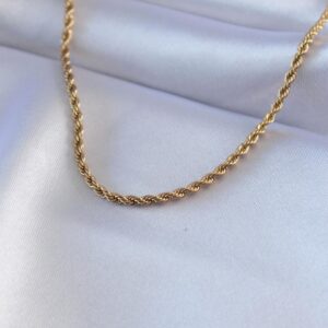 Stainless Steel Gold Color Twisted Design 45 cm Women’s Necklace