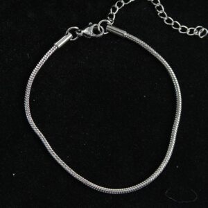 316L Stainless Steel Silver Color Snake Chain Men’s Bracelet